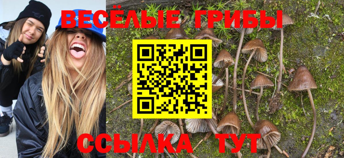 Галлюциногенные грибы ЛСД  Вход с VPN  Алексин 