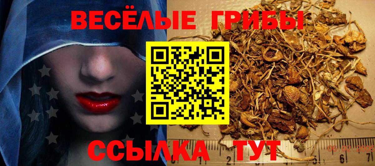 Галлюциногенные грибы прущие грибы Алексин
